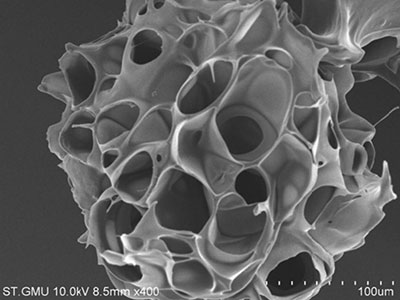 多孔微载体 多孔微载体