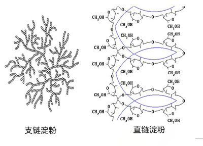 淀粉糖结构